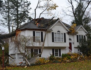 This home in the #200 Block of West Shore Trail suffered significant damage as a large tree smashed through the roof after being toppled by Hurricane winds early this morning. (Sparta Township Police Photo).