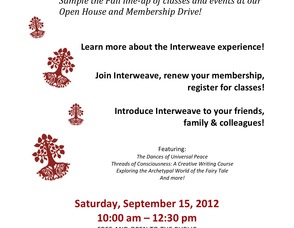 Interweave Sampler Flyer