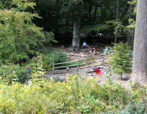 Reeves-Reed Arboretum