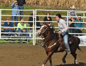 One of the contestants during the barrel racing part of the rodeo.