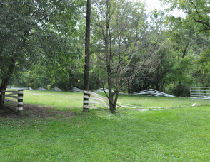 The river area on the property.