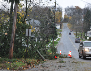 A mass of tree limbs on Trinity Street in Newton.