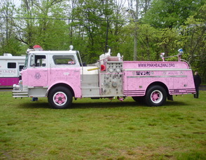 Susan G. Komen Race for the Cure