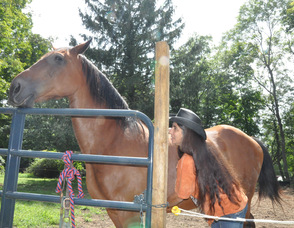 Diane Romano with one of the horses at her rescue.