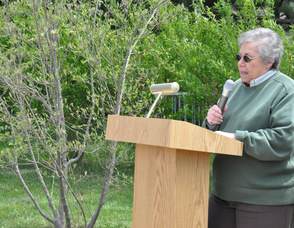 Mayor Rosemarie Maio reads the proclamation.