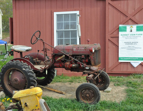 An antique tractor on display at the farm.