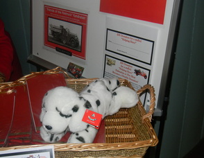a Dalmatian for the Helping Hero charity