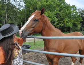 A horse comes to greet Diane Romano.