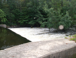 The Muskie