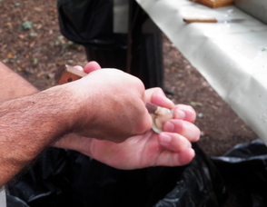 American Legion Clambake