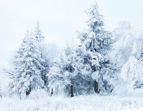 Home for the Holdidays will bring seasonal cheer for the entire family!