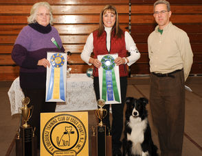 Dog Trials