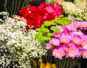 A colorful array of blooms at Blooms of Elegance.