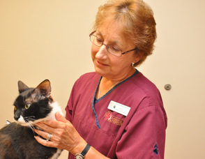 Carol O'Neill, the employee of the Andover Animal Hospital, who adopted Sparky.