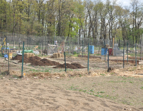 Some of the plots at the garden.