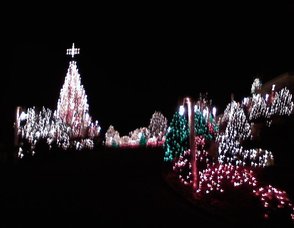 Camuso Christmas Display