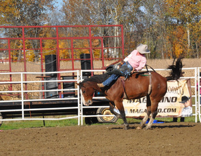 Bronco riding during the rodeo.