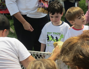 children petting animals
