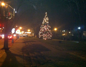Caldwell Tree