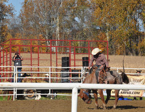 A horse bucks during the rodeo.