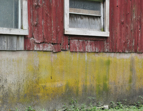 The waterline left behind at the barn on Diane Romano's property.