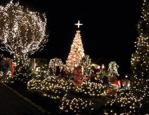 Camuso Christmas Display