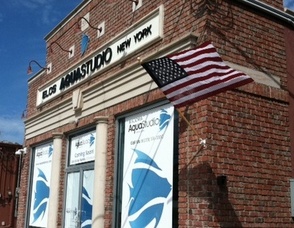 Project Raise Your Flag