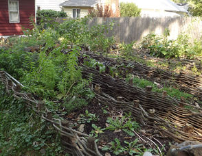 The Allen's Edible Landscape