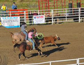 Father and son team Trent, and Ty Miller, team up during the roping competition.