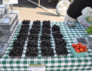 Berries