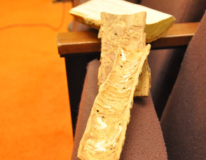 Wood damaged by an Emerald Ash Borer.