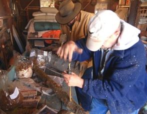 Inoculating logs