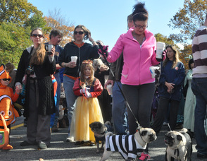 Liz Tryde with her dogs Murphy, Frankie, and Willie.