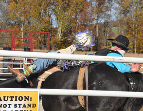 Bronco rider hangs onto his horse.