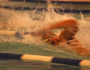 New Providence Swimming