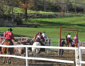 A rider as he flies off his horse.