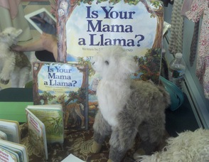 The book on display at Mother Moon Baby Boutique.
