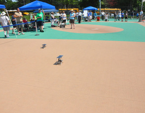 "Apollo Rover" from New Providence Middle School in the middle lane of the track.