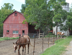 A view of Diane Romano's barn.