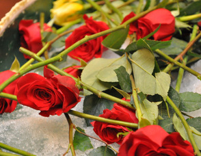 Roses on Ice.