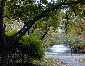 Mindowaskin Park
