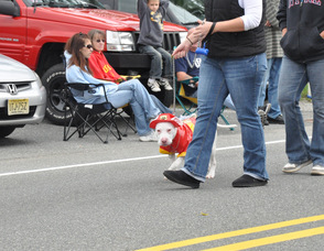 Gunnar the Pit Bull walking with his owner, Shauna Search.