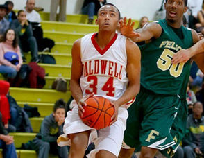 Cougars Felician