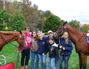 Horses to Ride