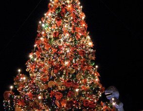 Camuso Christmas Display