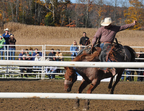 A horse and rider in action.