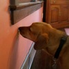 Small_thumb_088c7ab81b582c151372_malcolmlicking