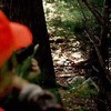 Small_thumb_0bf70adfdd27fc311d4e_shootatrattling_left