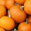 Small_thumb_41af8be76b759abba677_bake_these__pumpkins_in_toronto_
