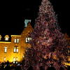 Small_thumb_5b3dbf6336dcfb6914f7_shu_tree_lighting